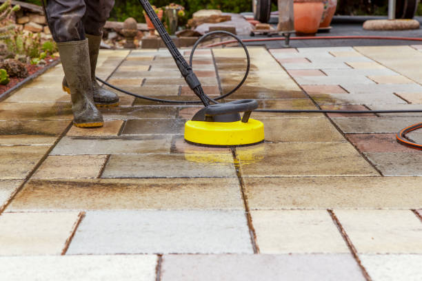 Animal Enclosure Cleaning in Hazlehurst, GA